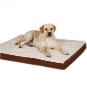 memory foam dog bed