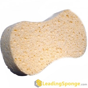 Cellulose Car Sponge