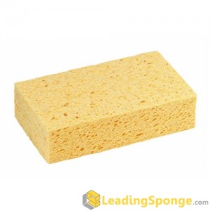 Cellulose Sponge Block