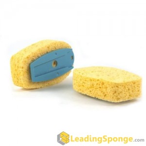 Cellulose Sponge Material