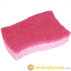 Cellulose Sponge Scourer