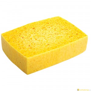 grout cleaning sponge