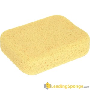 hydrophilic grout sponge