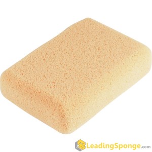 hydrophilic grouting sponge