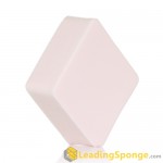 Pro Makeup Soft Sponge